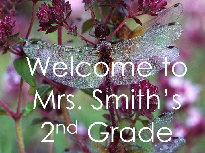welcome to mrs smith s 2 nd grade