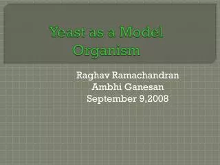 Yeast as a Model Organism