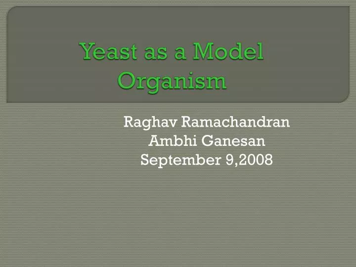 yeast as a model organism