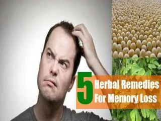 Herbal remedy for memory loss