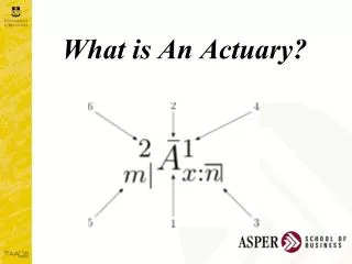 What is An Actuary?