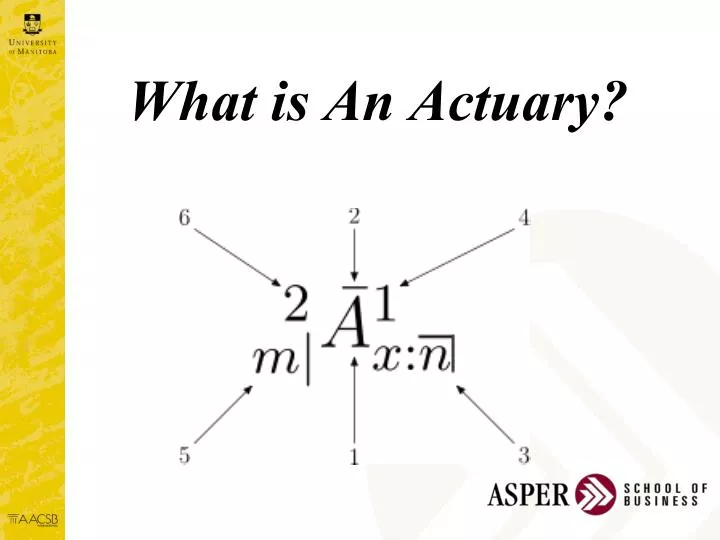 what is an actuary