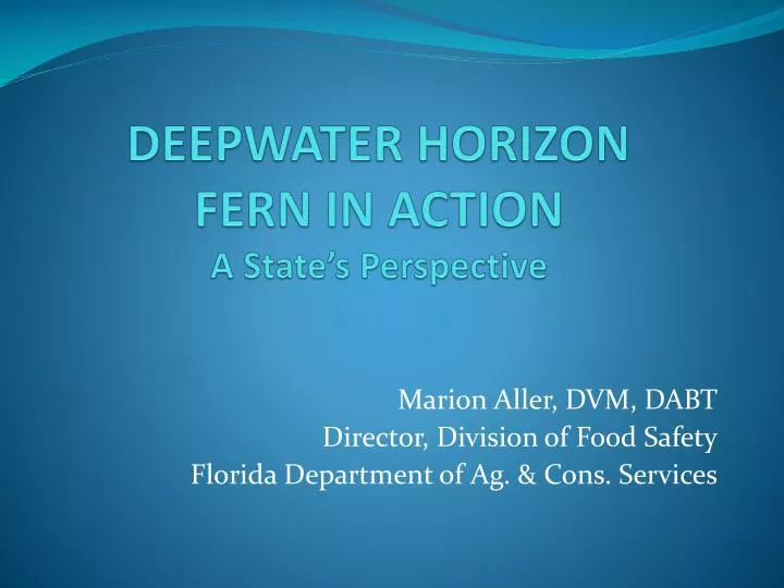 deepwater horizon fern in action a state s perspective