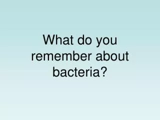 What do you remember about bacteria?