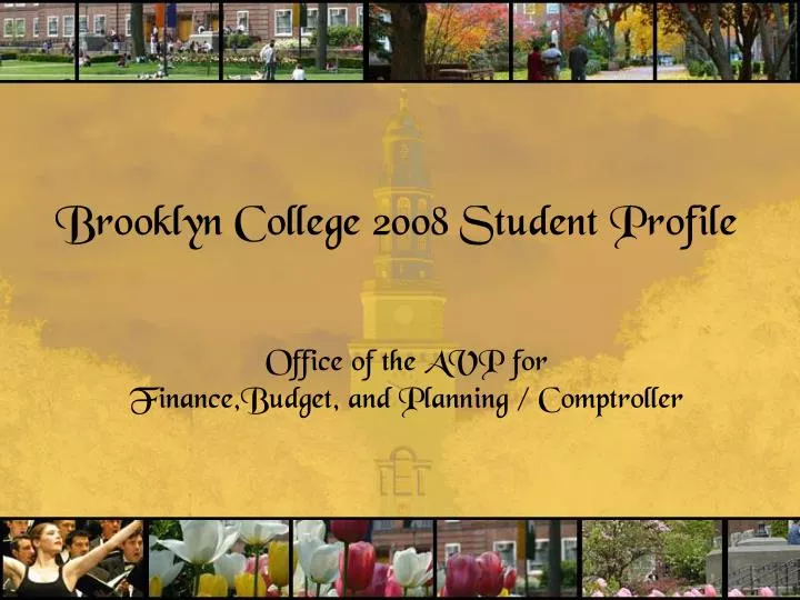brooklyn college 2008 student profile