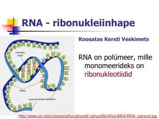 RNA - ribonukleiinhape
