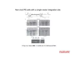 K Kaji et al. Nature 000 , 1-5 (2009) doi:10.1038/nature07864