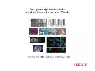 K Kaji et al. Nature 000 , 1-5 (2009) doi:10.1038/nature07864