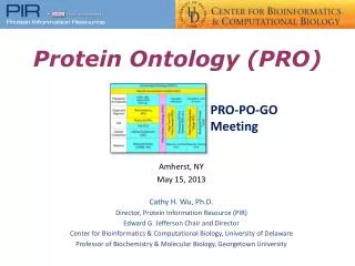 Protein Ontology (PRO)