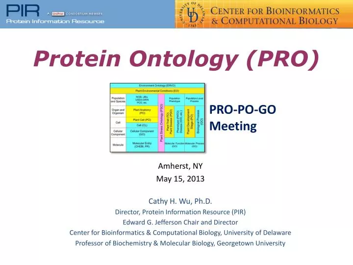 protein ontology pro