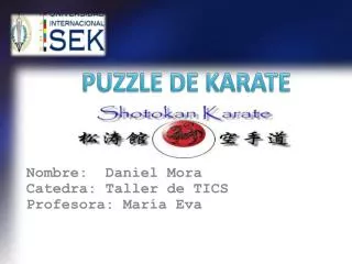 puzzle de karate