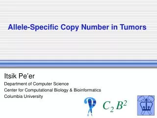 Allele-Specific Copy Number in Tumors