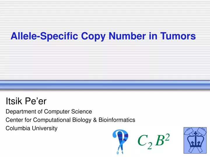 allele specific copy number in tumors