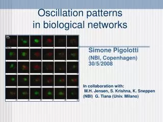 Oscillation patterns in biological networks