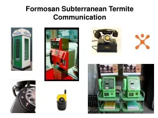 Formosan Subterranean Termite Communication