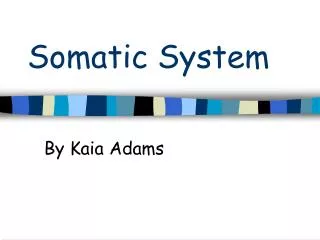 Somatic System