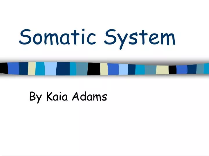 somatic system