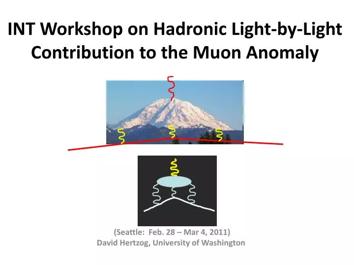 int workshop on hadronic light by light contribution to the muon anomaly