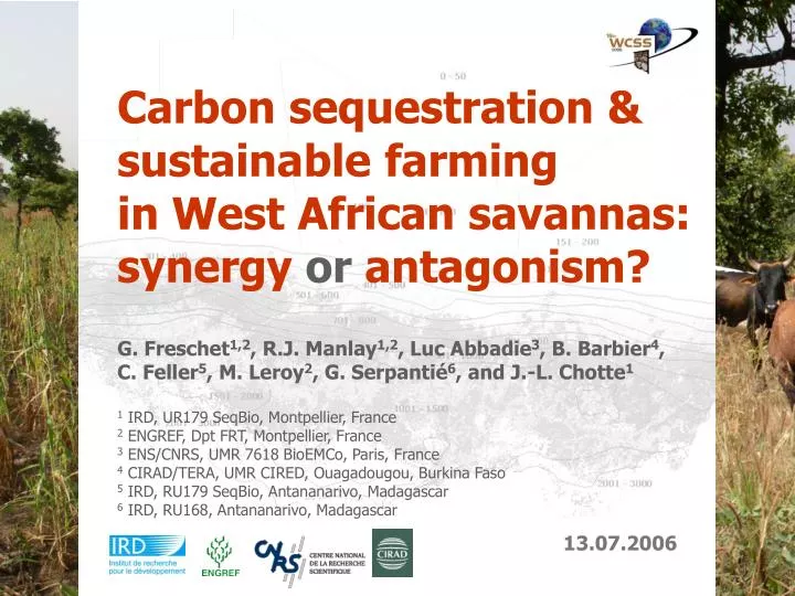 carbon sequestration sustainable farming in west african savannas synergy or antagonism