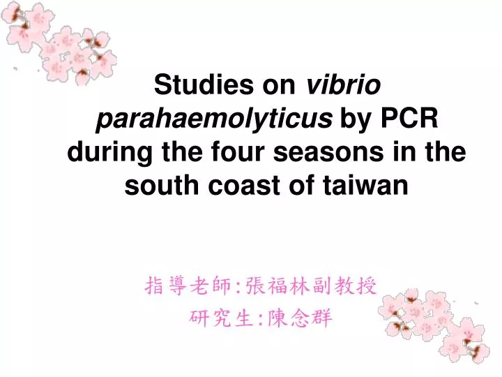 studies on vibrio parahaemolyticus by pcr during the four seasons in the south coast of taiwan