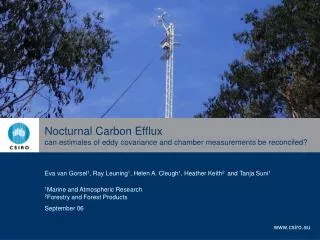 Nocturnal Carbon Efflux can estimates of eddy covariance and chamber measurements be reconciled?