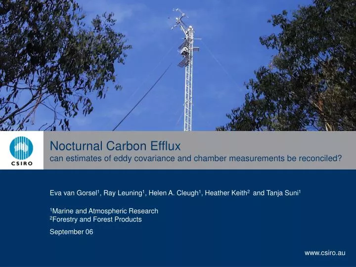 nocturnal carbon efflux can estimates of eddy covariance and chamber measurements be reconciled