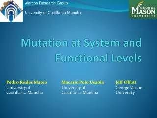 Mutation at System and Functional Levels
