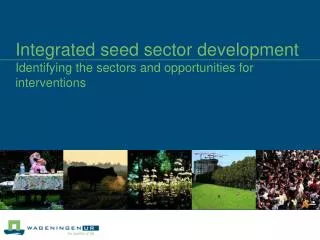 Integrated seed sector development Identifying the sectors and opportunities for interventions