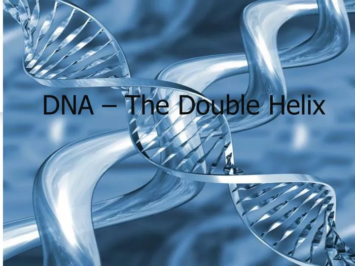 dna the double helix