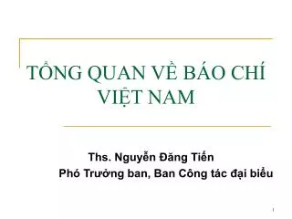t ng quan v b o ch vi t nam