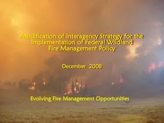 Modification of Interagency Strategy for the Implementation of Federal Wildland