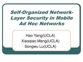 Self-Organized Network-Layer Security in Mobile Ad Hoc Networks