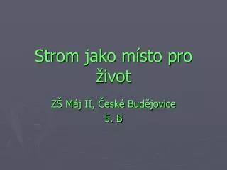strom jako m sto pro ivot