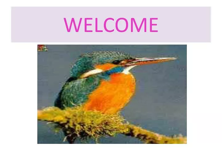 welcome