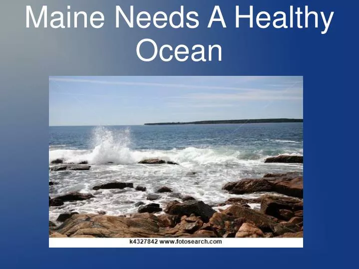 maine needs a healthy ocean