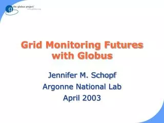 Grid Monitoring Futures with Globus