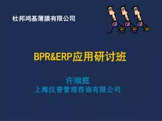 bpr erp