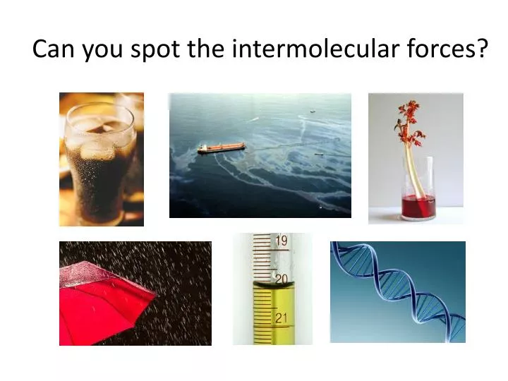 can you spot the intermolecular forces
