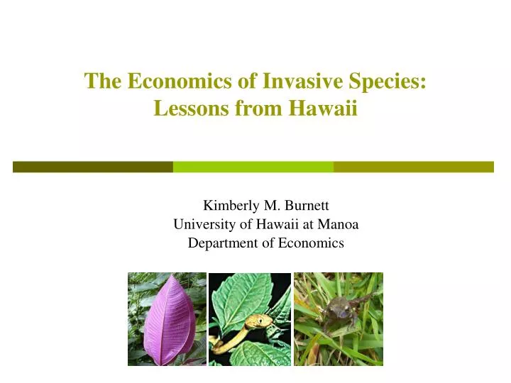 the economics of invasive species lessons from hawaii