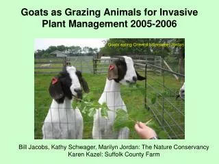 Goats as Grazing Animals for Invasive Plant Management 2005-2006