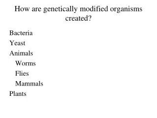 How are genetically modified organisms created?