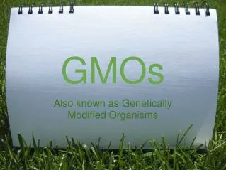 GMOs