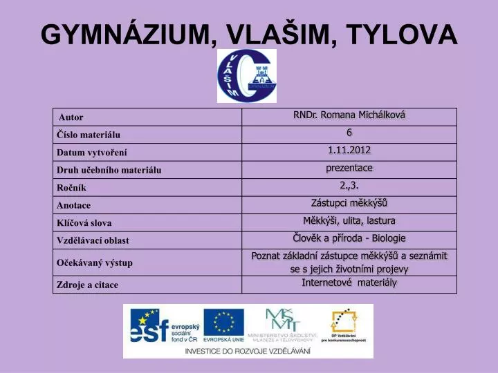 gymn zium vla im tylova