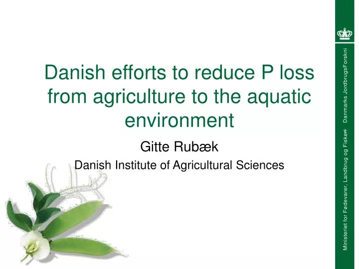 danish efforts to reduce p loss from agriculture to the aquatic environment