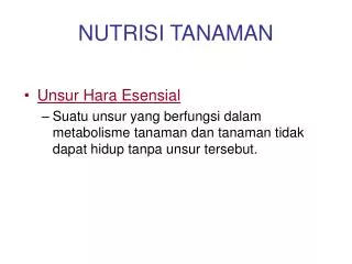 nutrisi tanaman
