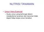 NUTRISI TANAMAN - slide 1