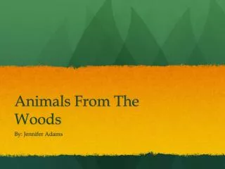 Animals From The Woods