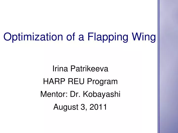optimization of a flapping wing