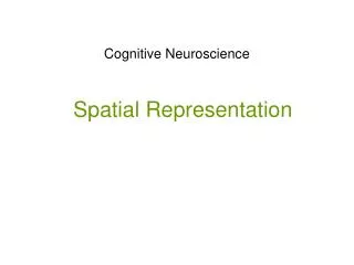 Cognitive Neuroscience