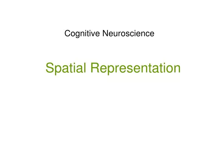cognitive neuroscience
